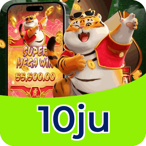 Verificação KYC 10ju